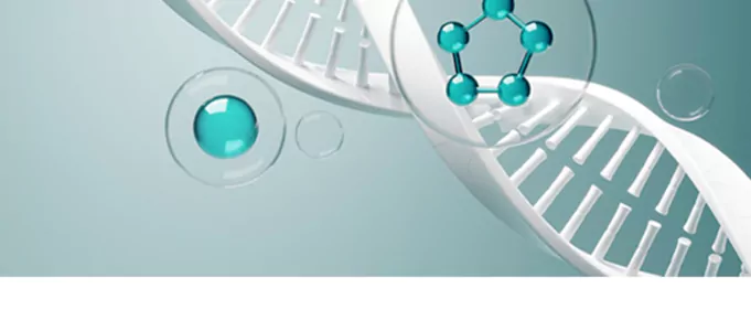 Collagen Peptides