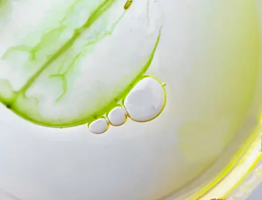 ingredient